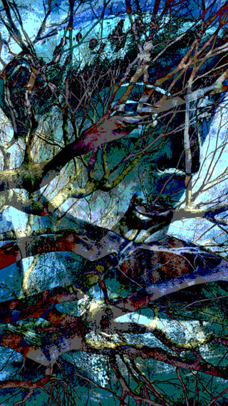 Vine 2 whose destiny is the top art galleries in Hong Kong, London, Paris, Rome and New York City.
